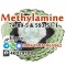  593-51-1, 74-89-5 Methylamine hcl